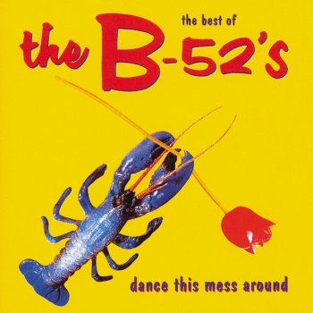 The B-52's Song For A Future Generation