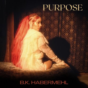 B.K. Habermehl Purpose
