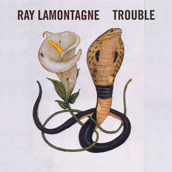Ray LaMontagne Trouble
