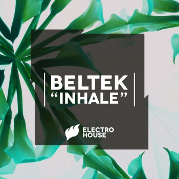 Beltek Inhale