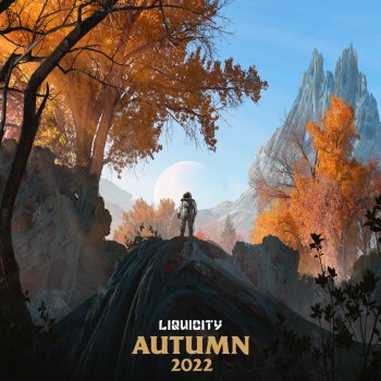 Liquicity Coming Down (Etherwood Remix)