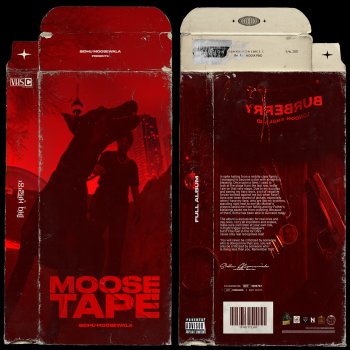 Sidhu Moose Wala feat. Morrisson IDGAF (feat. Morrisson)