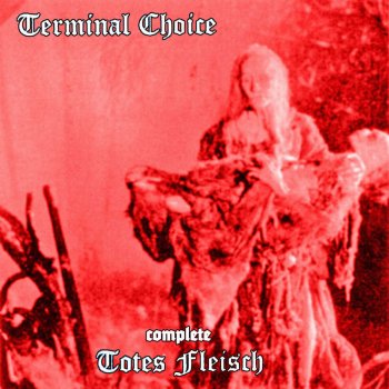 Terminal Choice feat. Mezire Totes Fleisch - meZire Mix