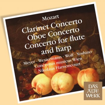 Concentus Musicus Wien feat. Nikolaus Harnoncourt Oboe Concerto in C Major, K. 314 [285d]: II. Andante Ma non Troppo