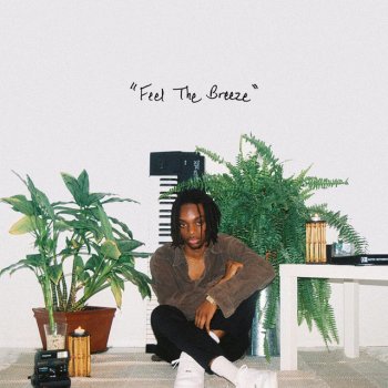 Flwr Chyld feat. Nai Br.XX Feel The Breeze