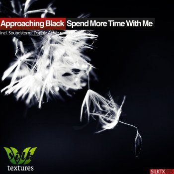 Approaching Black feat. Dapple Apple Spend More Time With Me - Dapple Apple Remix