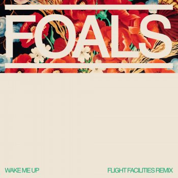 Foals Wake Me Up (Flight Facilities Remix)