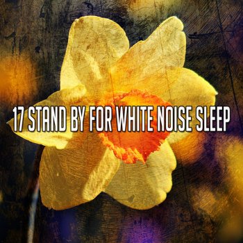 White Noise Research Spiritual Ascension
