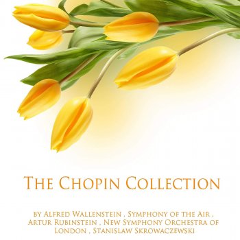 Frédéric Chopin feat. Arthur Rubinstein Nocturnes, Op. 32: No. 2 in A-Flat Major