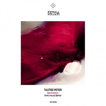 Taster Peter Backspace (Timo Maas Remix)