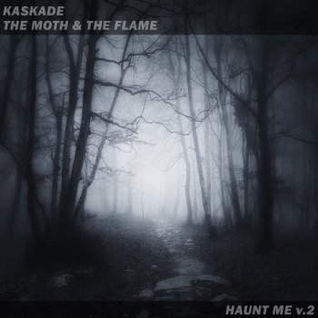 Kaskade feat. The Moth & The Flame Haunt Me V.2