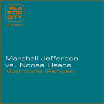 Marshall Jefferson vs. Noosa Heads Mushrooms - The Timewriter Remix