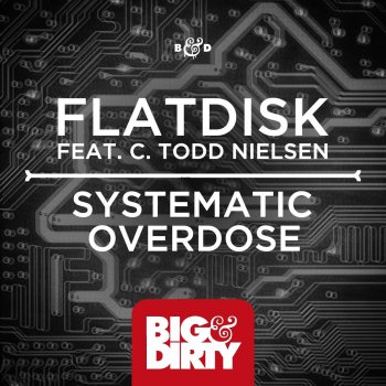 Flatdisk feat. C. Todd Nielsen Systematic Overdose