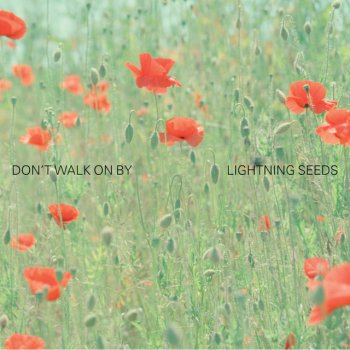 The Lightning Seeds Don't Walk On By - Radio Mix