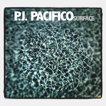 P.J. Pacifico Something Nobody Knows