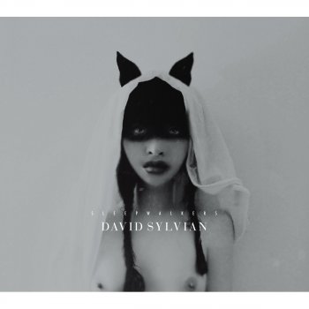 David Sylvian World Citizen - I Won't Be Disappointed