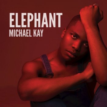 Michael Kay feat. Celina Foong Elephant