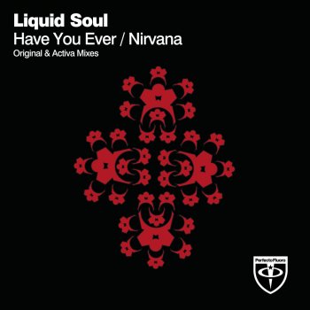 Liquid Soul Have You Ever