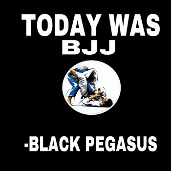 Black Pegasus Today Was BJJ