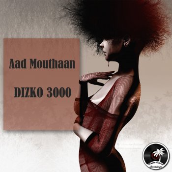Aad Mouthaan Dizko 3000 - Original Mix