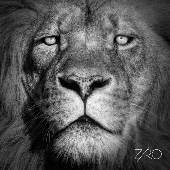 Ziro Lionheart