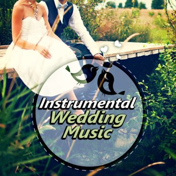 Instrumental Wedding Music Zone Marry Me