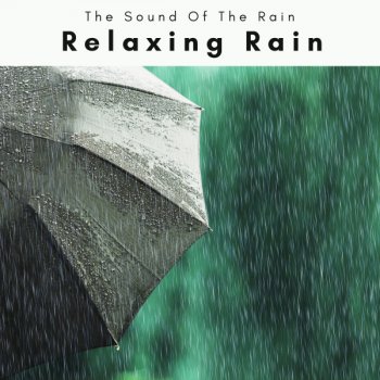 The Sound Of The Rain Journey of Soothing Rain Vibes