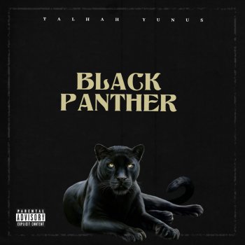 Talhah Yunus Black Panther