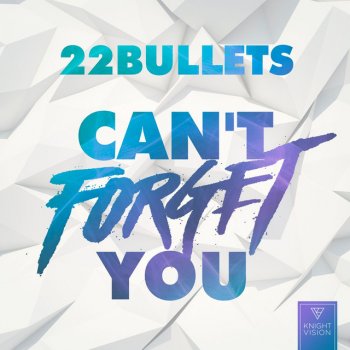 22 Bullets Can't Forget You