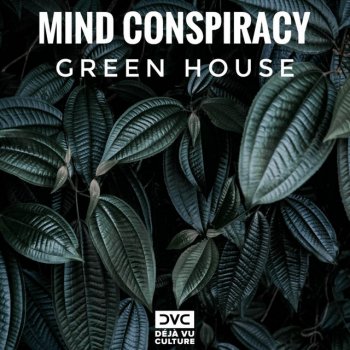Mind Conspiracy Green House