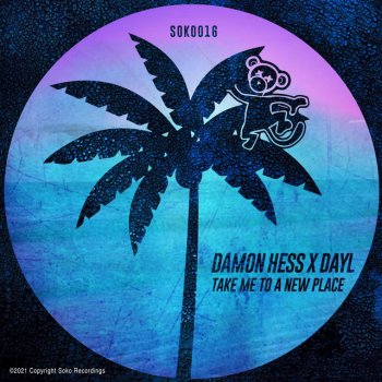 Damon Hess feat. DAYL Take Me to a New Place - Radio Edit