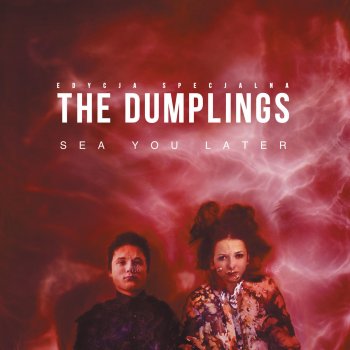 The Dumplings Tide Of Time