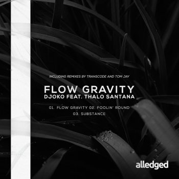 Djoko feat. Thalo Santana Flow Gravity
