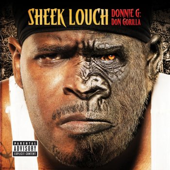 Sheek Louch Blood & Tears (feat. Casely)