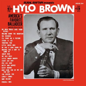 Hylo Brown Every Day Dirt