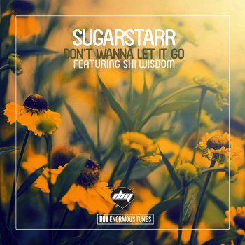 Sugarstarr feat. Shi Wisdom Don't Wanna Let It Go - Original Mix
