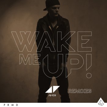 Avicii Wake Me Up - Reggae Mix