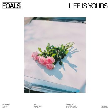 Foals Crest of the Wave