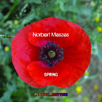 Norbert Meszes Spring (Radio Edit)