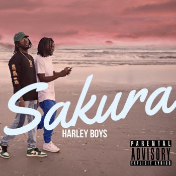 Harley Boys Sakura