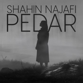 Shahin Najafi Pedar