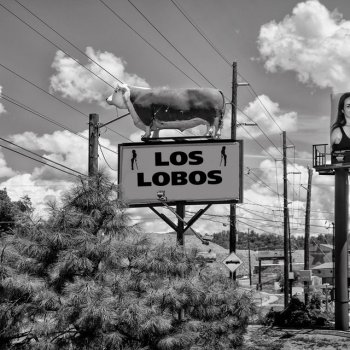 Los Lobos That's My Little Suzie (Live) - Remastered
