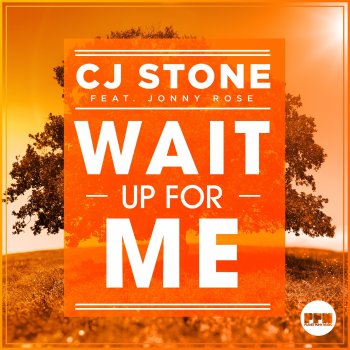 CJ Stone feat. Jonny Rose Wait up for Me - Radio Edit