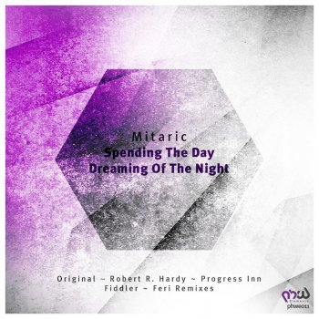 Fiddler feat. Mitaric Spending the Day Dreaming of the Night - Fiddler Remix