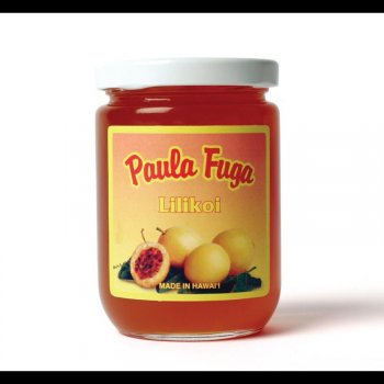 Paula Fuga For The Love of You