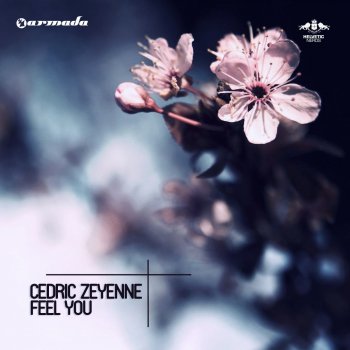 Cedric Zeyenne Feel You - Radio Edit