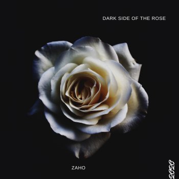 Zaho Dark rose