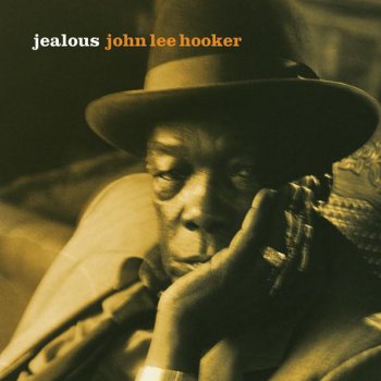 John Lee Hooker We'll Meet Again