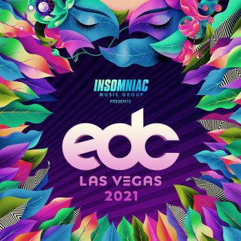 Insomniac Music Group On the Edge