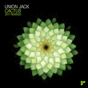 Union Jack Cactus (Adam Kent Remix)